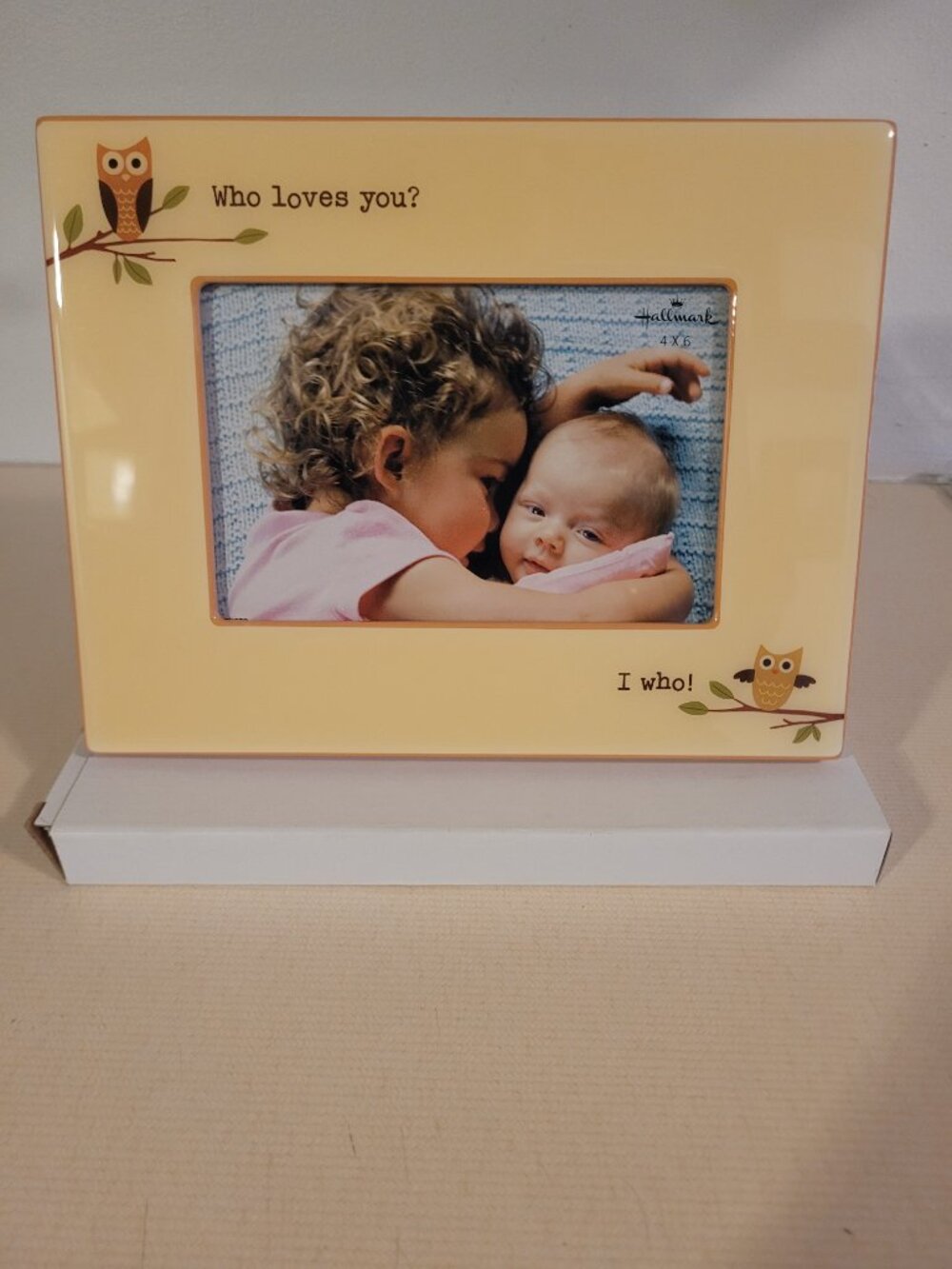 NIB Hallmark “Who Loves You?” Owl 4x6 Picture Frame Photo Frame